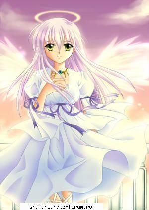 yume si yumi in cele 2 evantaie : scut de argint radu vs. tamy